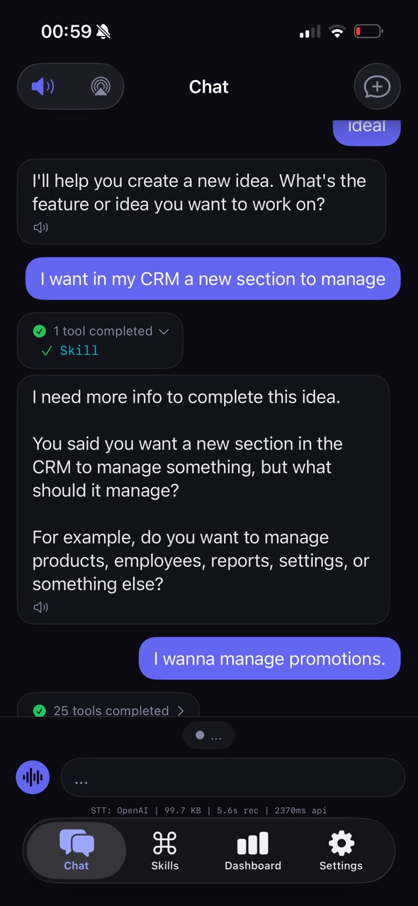 Meridiem Chat — user describes an idea
